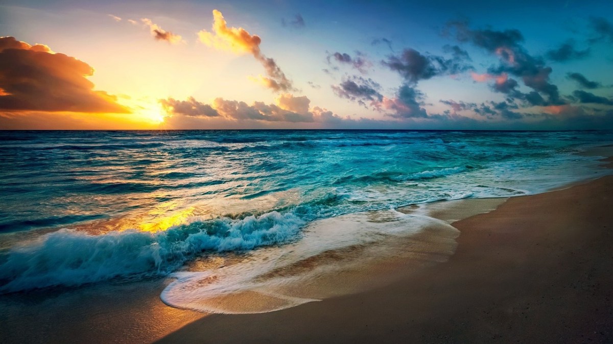 Playa y verano